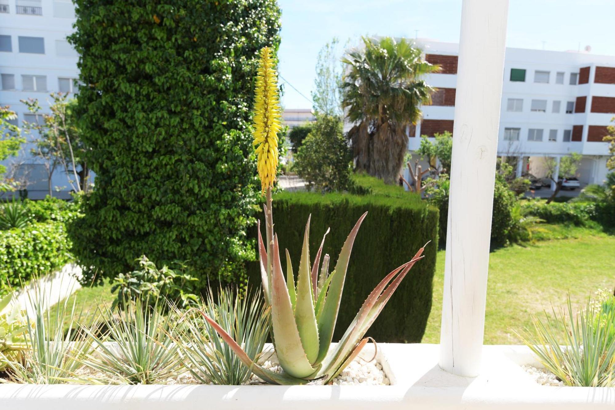 Stories Javea - Cosy Boho Apartment El Arenal - Toplocation - 250M From The Beach! Exteriör bild
